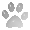 paw